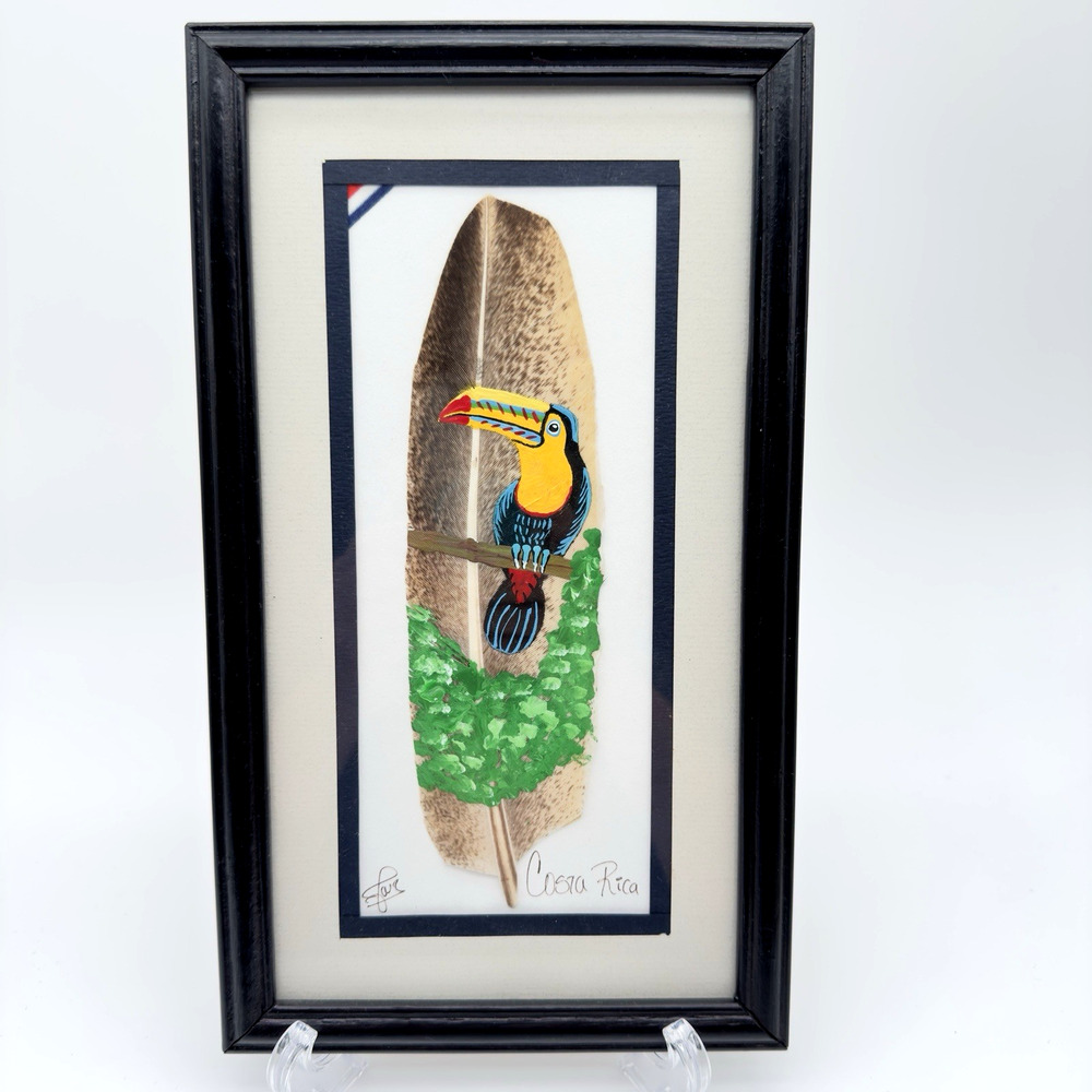 Hand Painted Feather Art Framed Toucan Costa Rica Tropical Tiki 11.5" x 6.5"